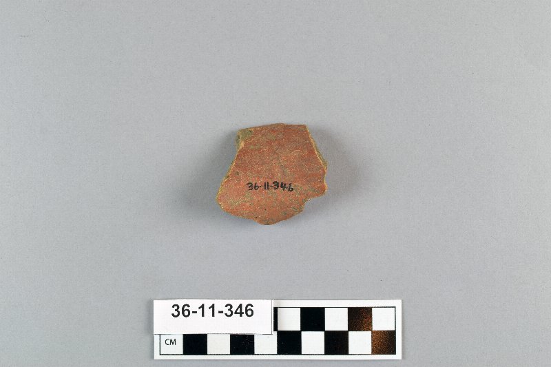503009