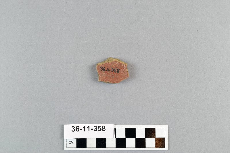 503031