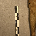 503769