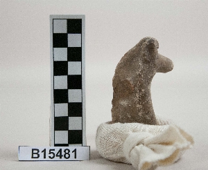 B15481