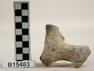 B15483