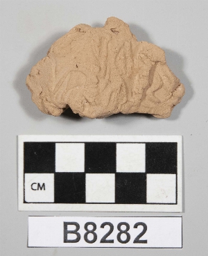 B8282