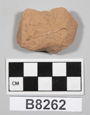 B8262