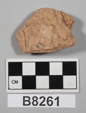 B8261