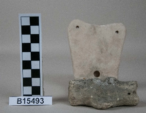 B15493