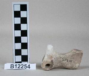 B12254