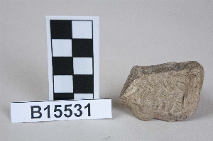 B15531