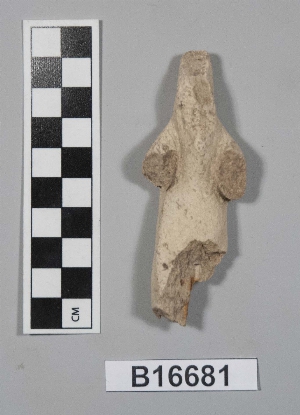 B16681