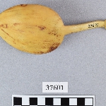 505492