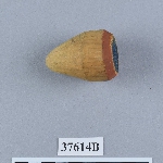 505540