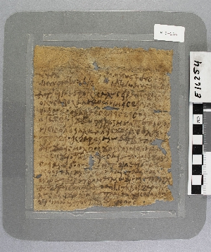 E16254