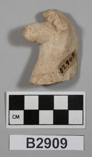 B2909