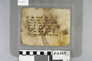 E16268