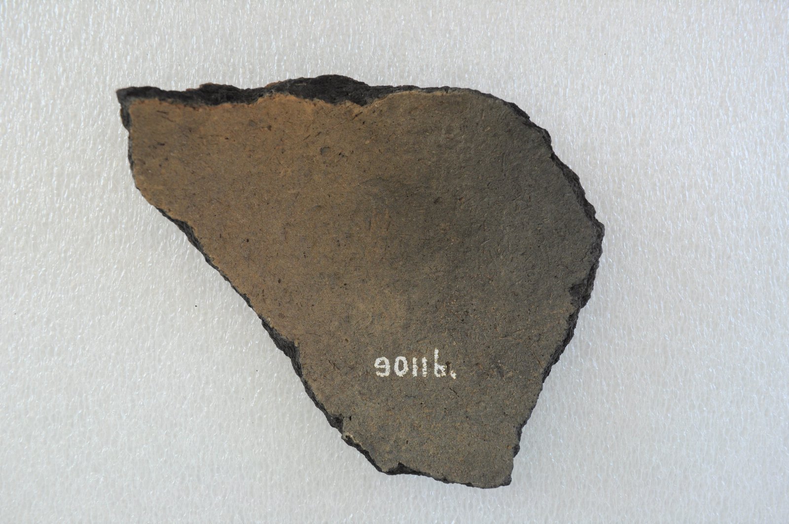 506198