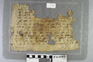 E16269D