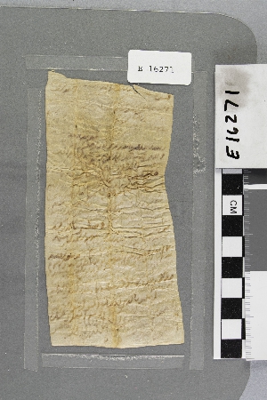 E16271