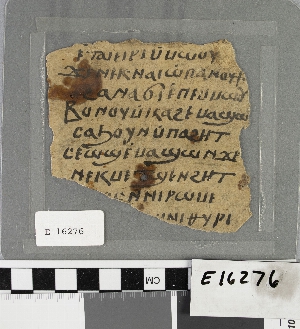 E16276