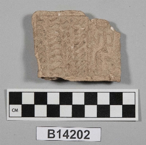 B14202