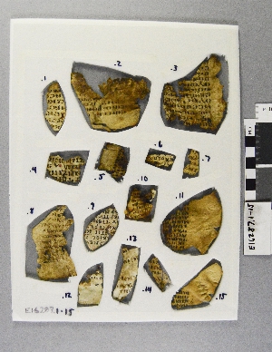 E16287