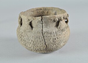 50-12-55