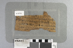 E16301