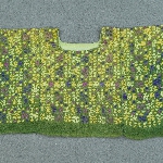 510068