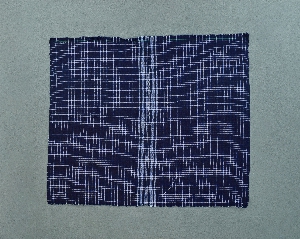 70-13-113