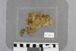 E16346