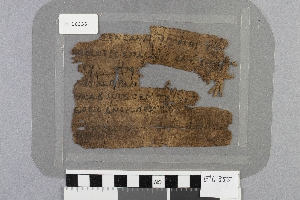 E16355