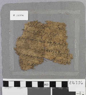 E16356