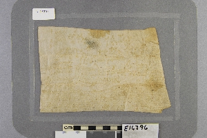 E16396