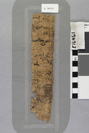 E16461