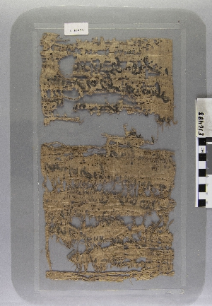 E16488