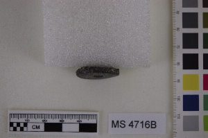 MS4716B