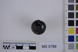 MS5799