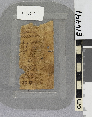 E16441