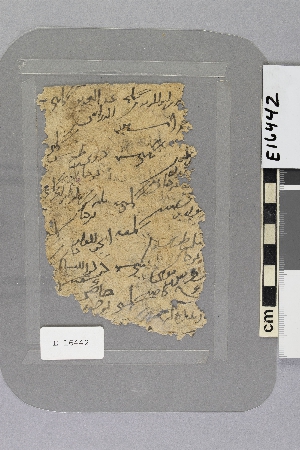 E16442