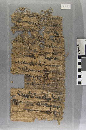 E16499