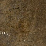 516546