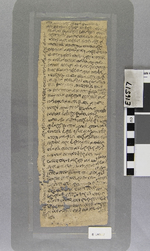 E16517