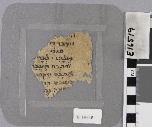 E16519
