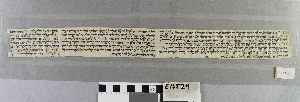 E16524