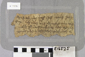 E16525