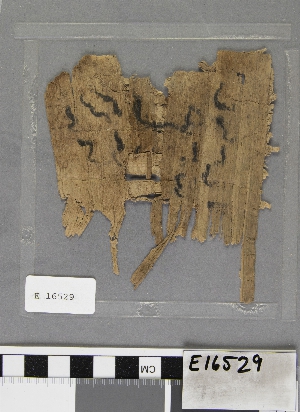 E16529