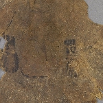 516592
