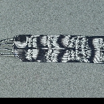 517041