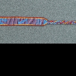 517099