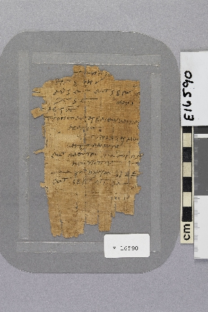 E16590