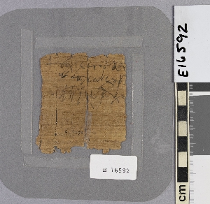 E16592