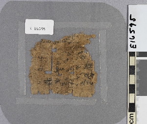 E16595